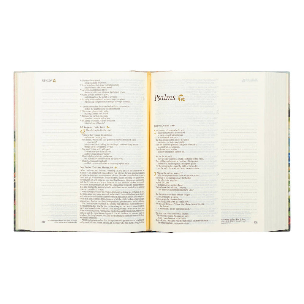 NLT Notetaking Bible: Coram Theme
