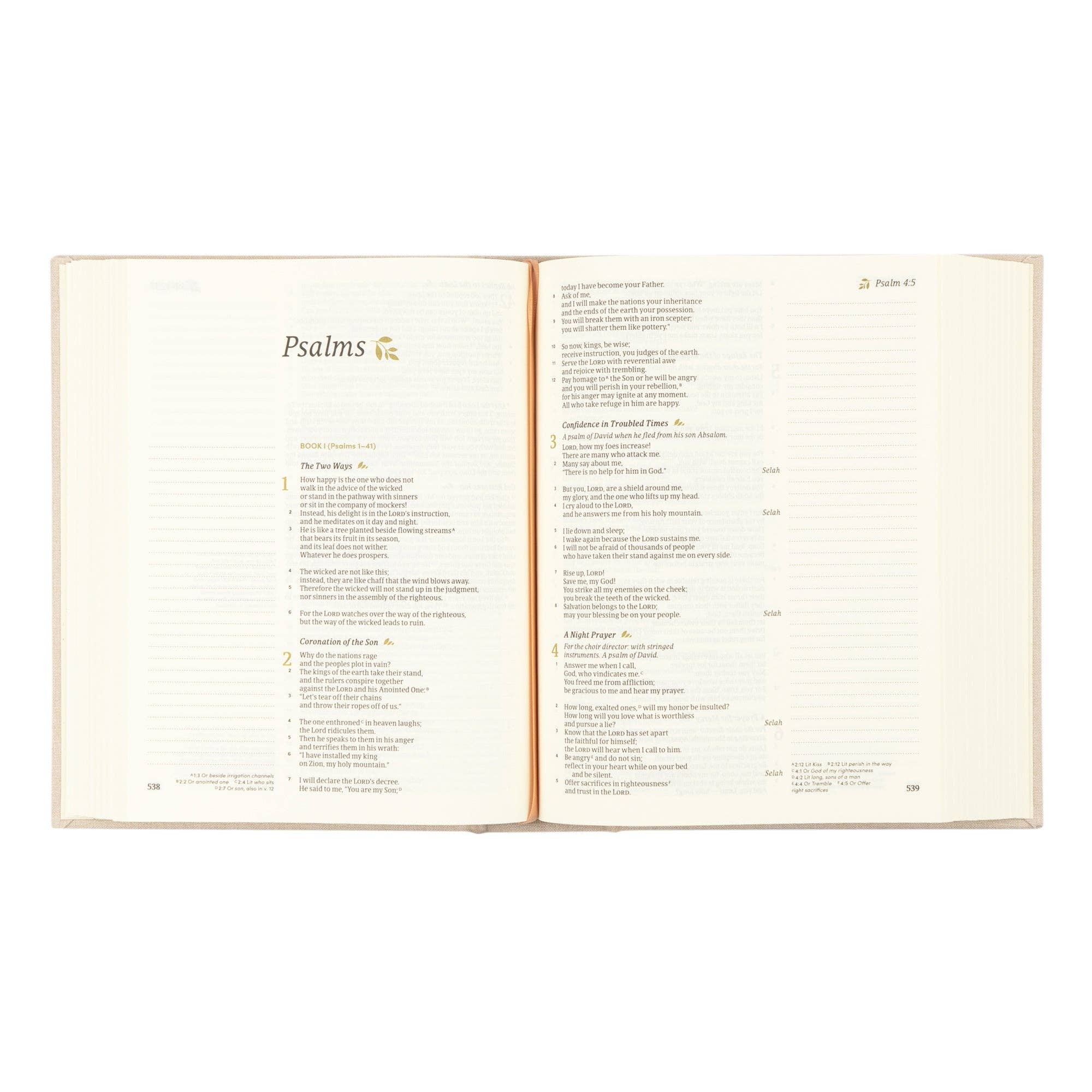 CSB Notetaking Bible: Oxford Theme